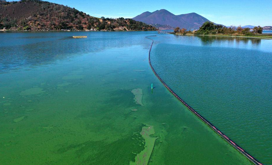 1699512791552070.png 1699512791552070.png