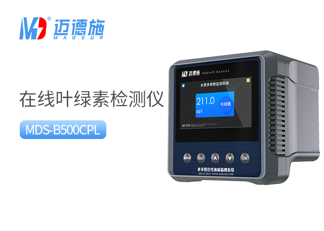 1699512840653034.jpg 葉綠素.jpg