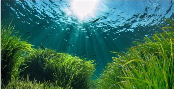 1758681918123396.jpeg 陽(yáng)光.jpeg